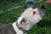 Zuez - Photo 4