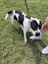 Coco - Photo 2