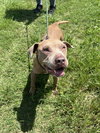 Chance - Photo 2