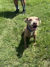 Chance - Photo 3