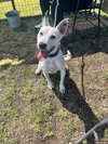 Judy - Photo 3
