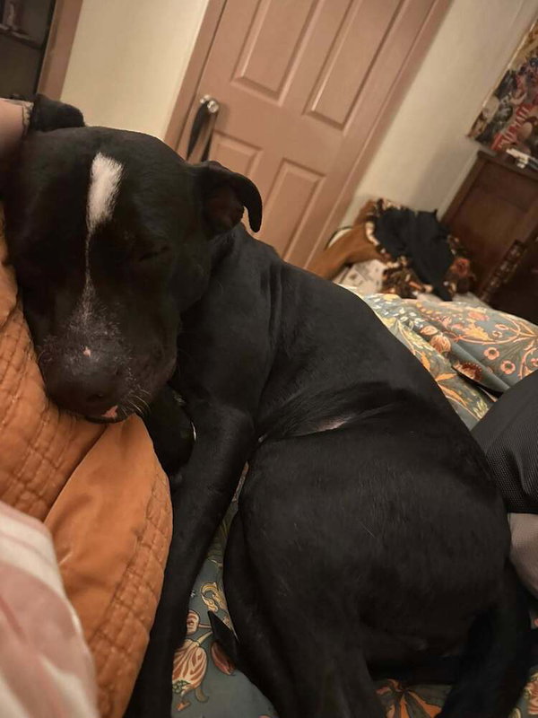 Oliver