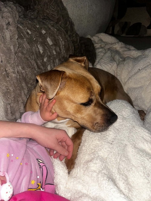 Photo 4 of Baylee