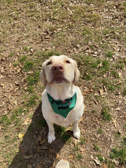 Photo 3 of Wilson