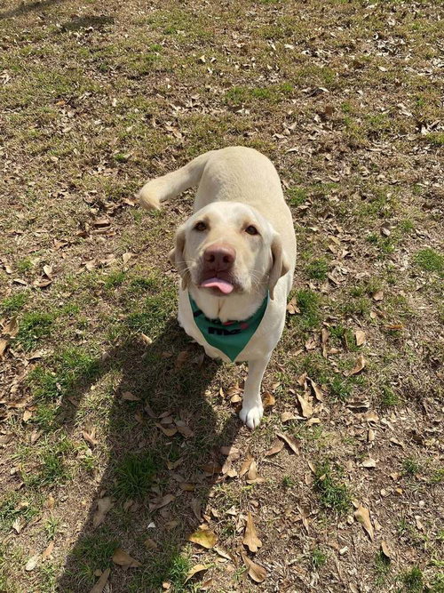 Photo 4 of Wilson