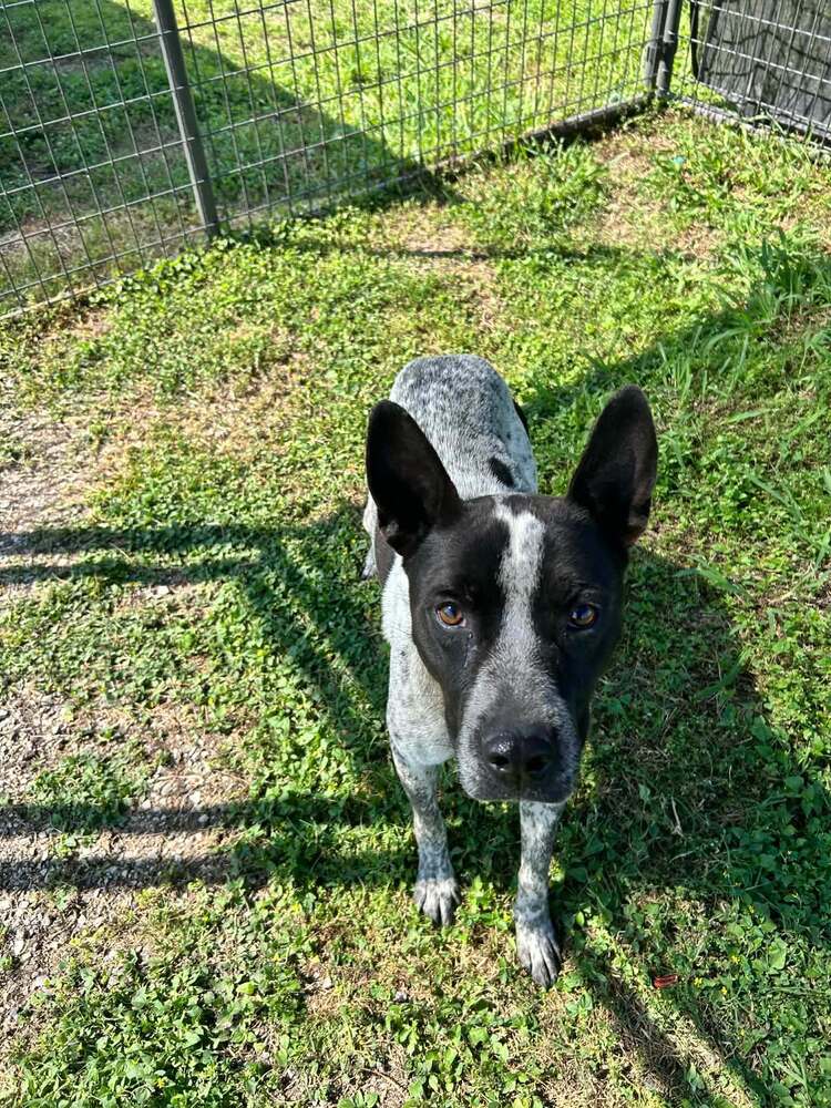Jax