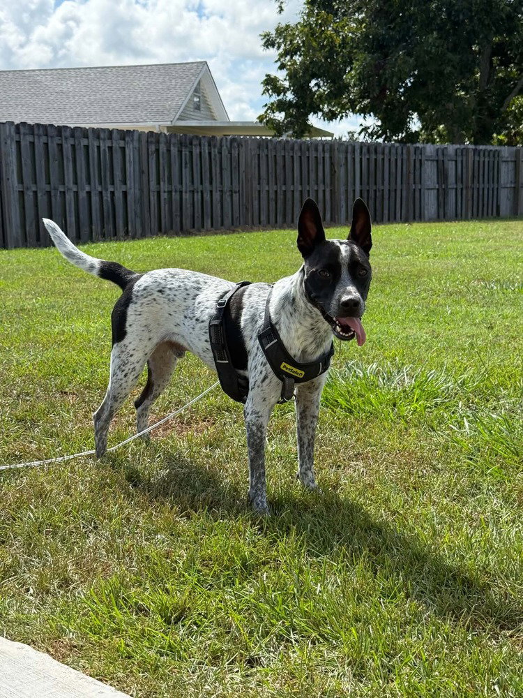 Jax