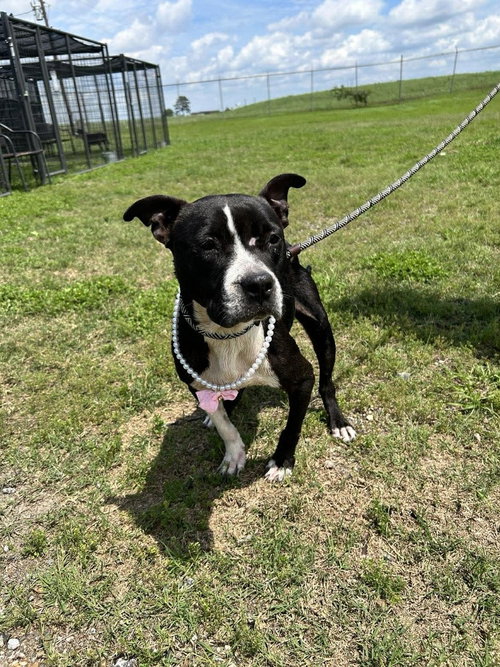 Maylee photo 3