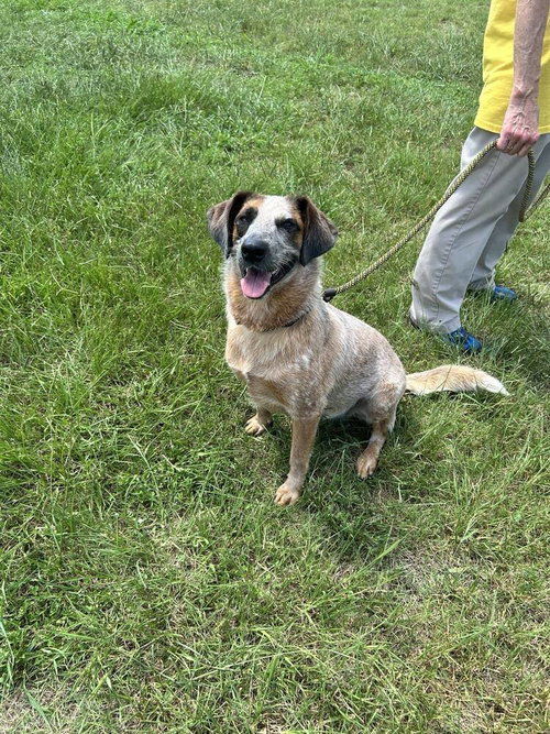 Photo 3 of Oakley