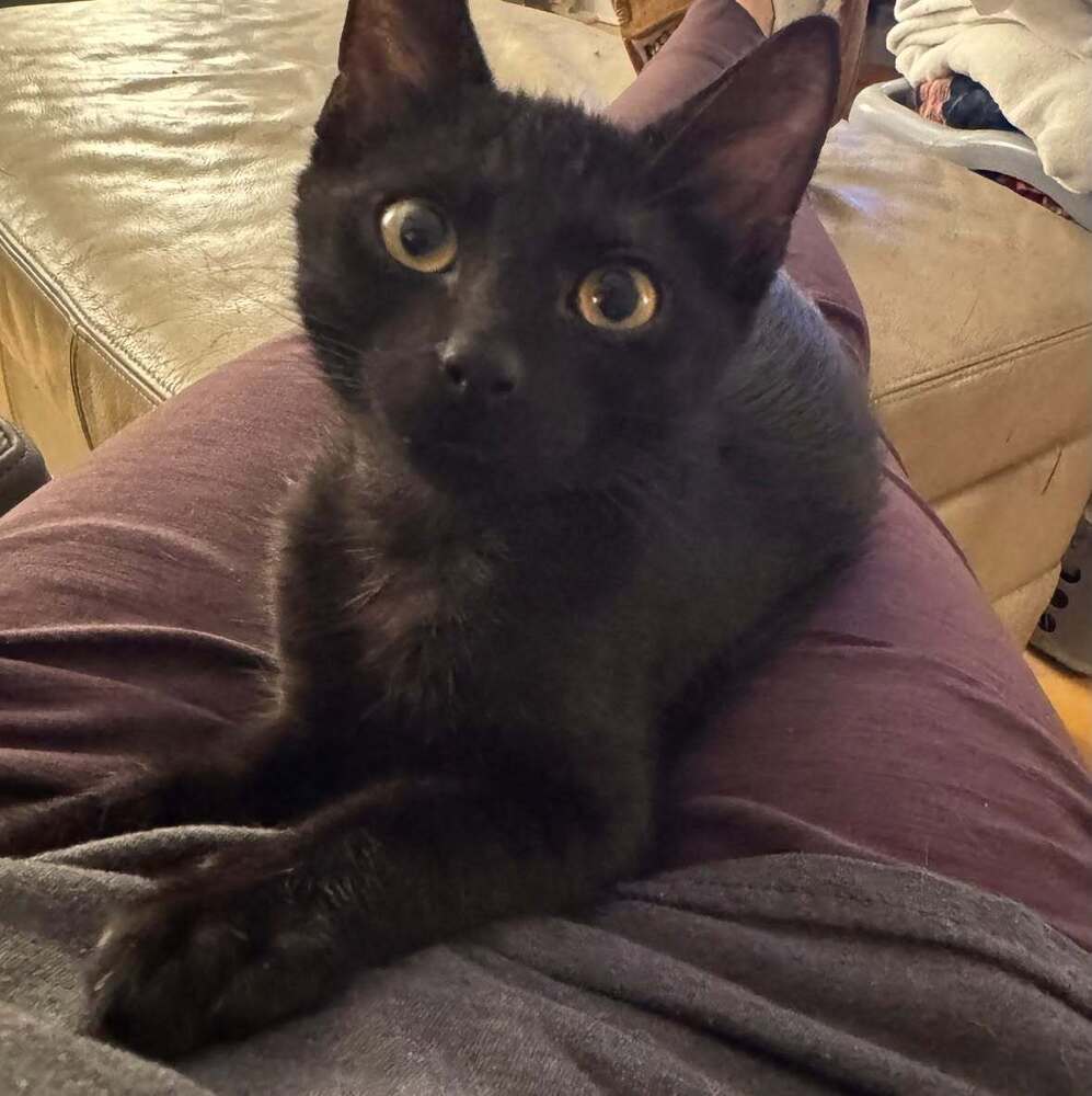 Binx
