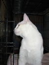 Denny