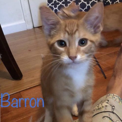 Barron