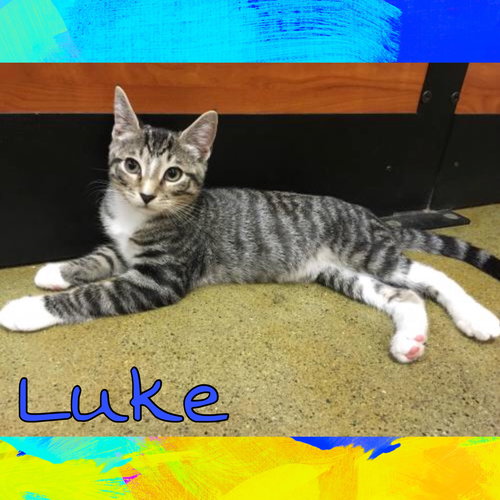 Luke