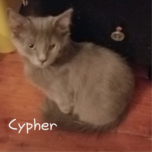 Cypher