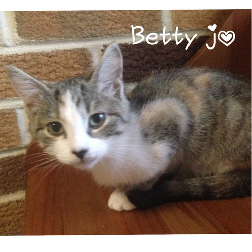 Betty Jo