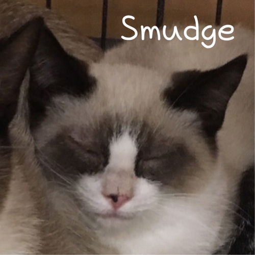 Sasha and SMudge
