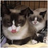 Sasha and SMudge