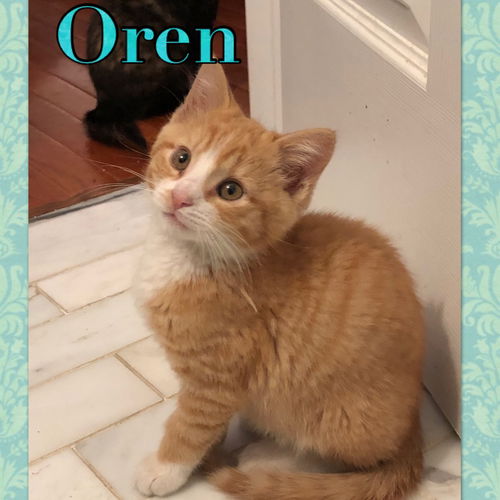 Oren