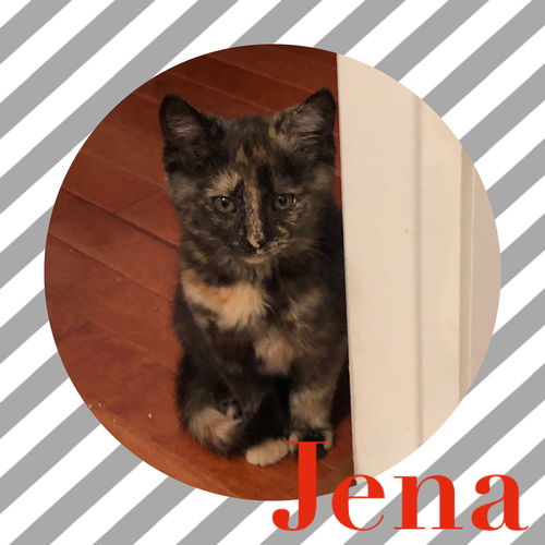 Jena