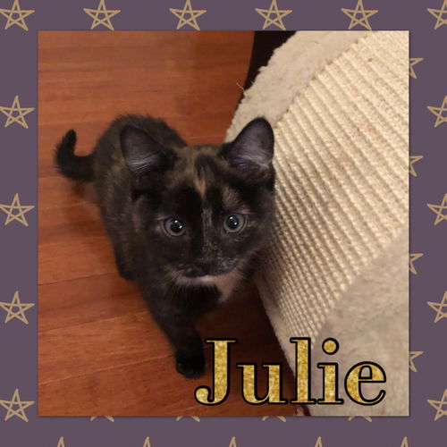 Julie