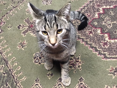 Sonny