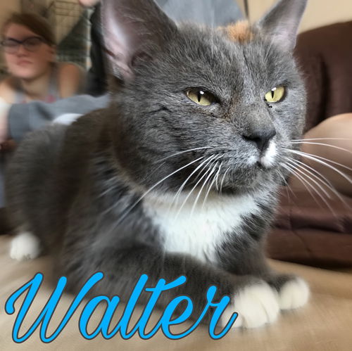 Walter