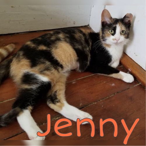 Jenny