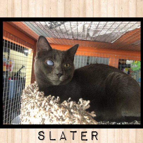 Slater