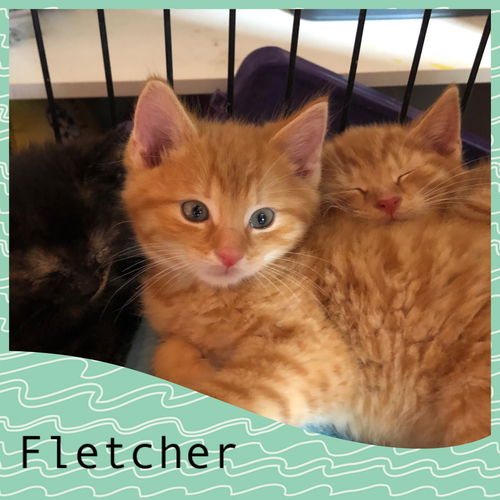 Fletcher