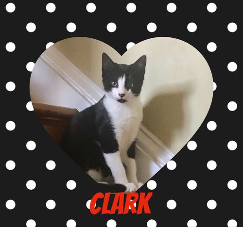 Clark
