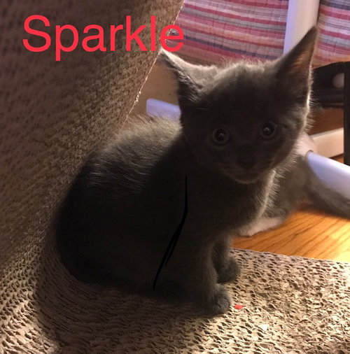 Sparkle