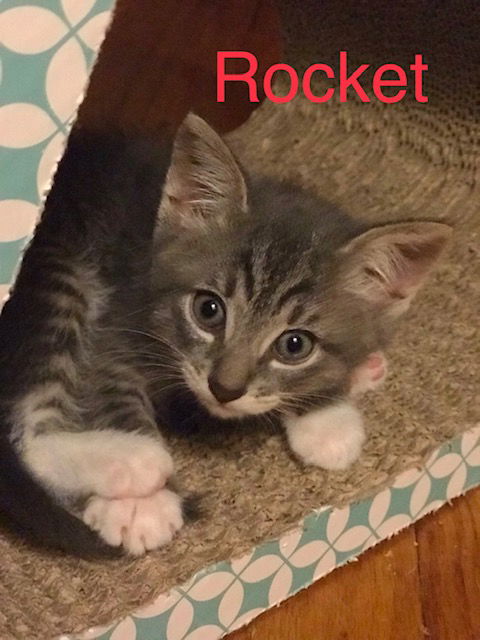 Rocket