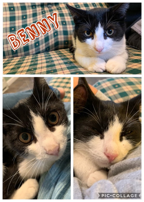 Benny