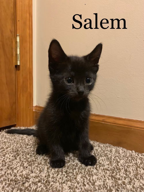 Salem