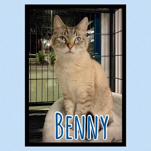 Benny