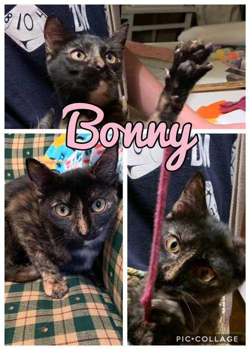 Bonny