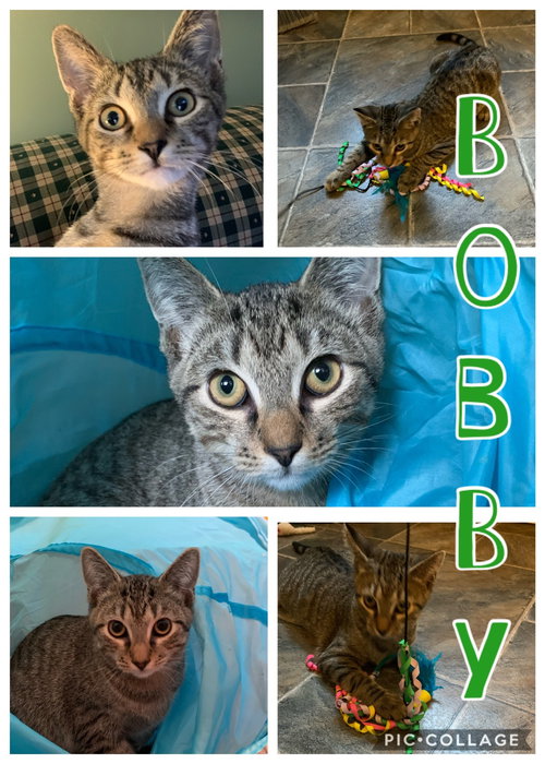 Bobby