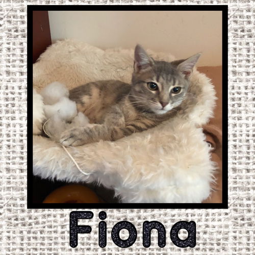 Fiona