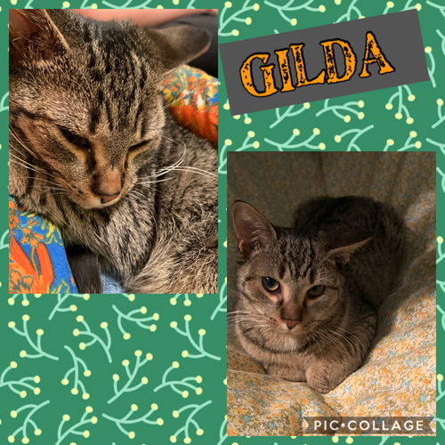 Gilda
