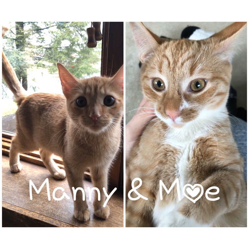 Manny and Moe