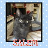 Salem