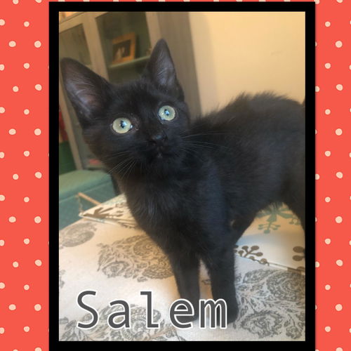 Salem