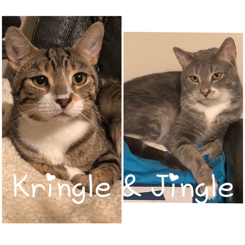 Jingle and Kringle