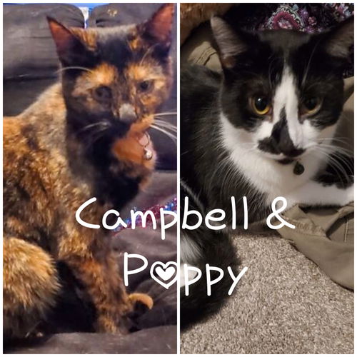 Campbell and Poppy