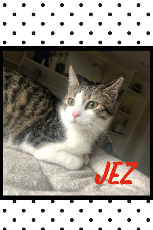 Jez