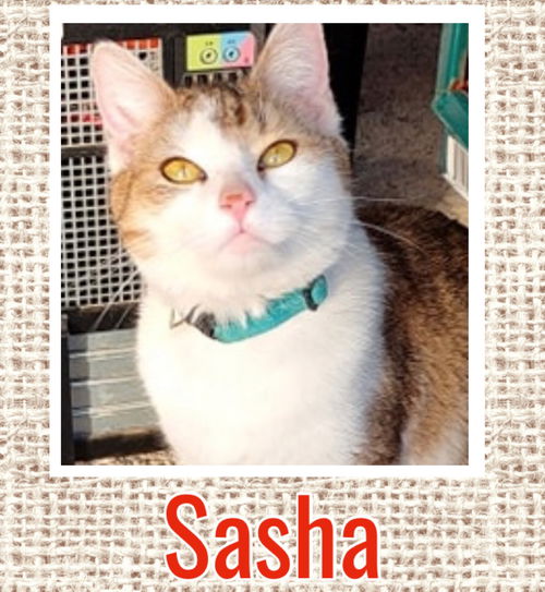 Sasha (with Mikhail)