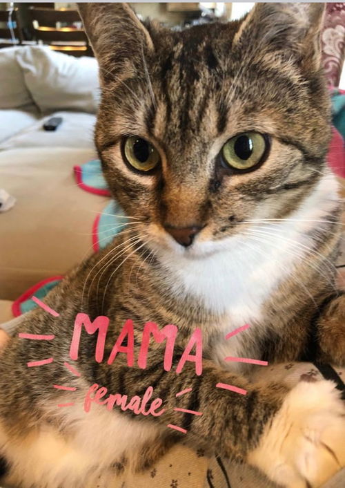 Mama