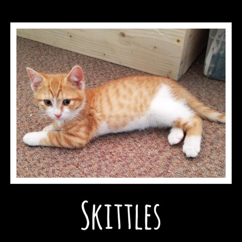Skittles