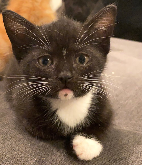 Lucy