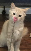 Marbles